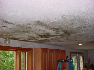 water damaged roof